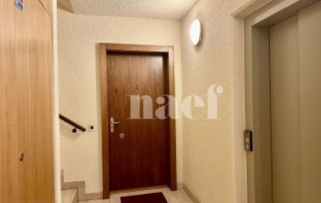 Appartement 5 pièces - Rue des Bains 31 Genève