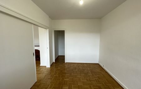 Eaux-Vives, appartement lumineux de 3 pièces