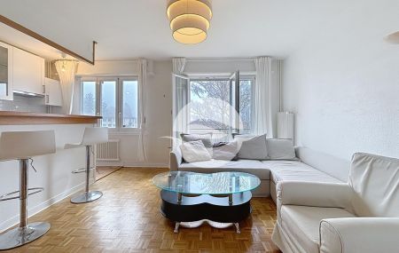 Très joli et chaleureux 3 pièces meublé au 2ème