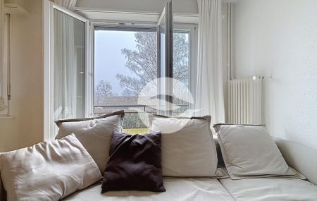 Très joli et chaleureux 3 pièces meublé au 2ème