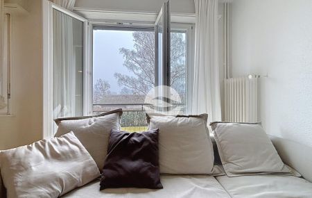 Très joli et chaleureux 3 pièces meublé au 2ème