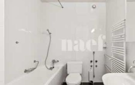 Appartement 10 pièces - Chemin Moïse-Duboule 29 Genève