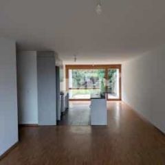 Appartement 5 pièces - Route de Ferney 214 Le Grand-Saconnex