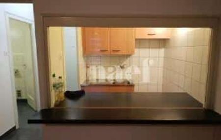 Appartement 1 pièce - Rue du Vidollet 21 Genève