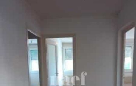 Appartement 5 pièces - Rue Hoffmann 12 Genève