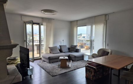 Bel appartement meublé de 3 pièces à Carouge