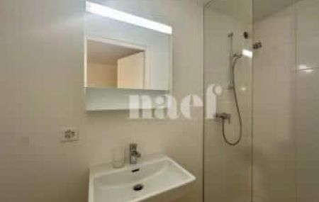 Appartement 4 pièces - Pré-de-la-Croix 15 Vésenaz