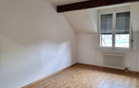 Appartement mansardé de 6 pièces en attique à la Jonction