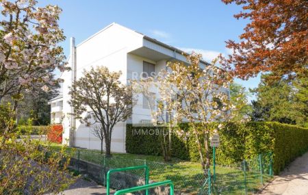 Appartement de 5 pièces en rez de jardin avec sous-sol aménagé