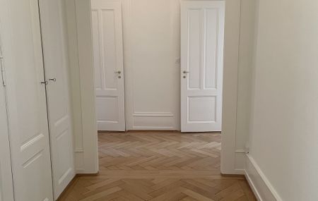 Quartier de Plainpalais, bel appartement de 6,5 pièces