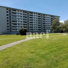 Appartement 4 pièces - Chemin de la Caroline 16 Petit-Lancy