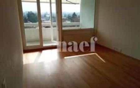 Appartement 4 pièces - Chemin des Semailles 51 Grand-Lancy