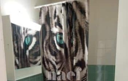 Appartement 4 pièces - Chemin des Semailles 51 Grand-Lancy