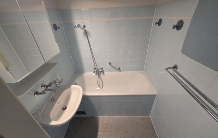 Appartement 4 pièces  | Grand-Saconnex