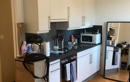 Appartement 2 pièces  | Coulouvrenière