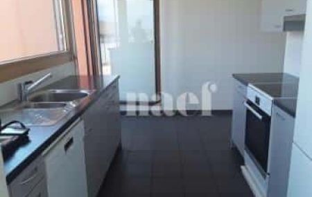 Appartement 7 pièces - Route de Ferney 216 Le Grand-Saconnex