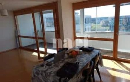 Appartement 7 pièces - Route de Ferney 216 Le Grand-Saconnex