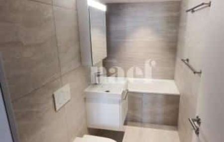 Appartement 6 pièces - Rue du Conseil-Général 8 Genève