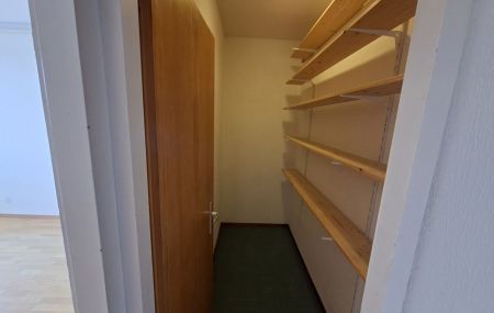 Appartement de 4 pièces avec loggia au Lignon