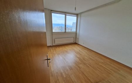 Appartement de 4 pièces avec loggia au Lignon