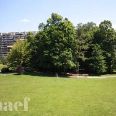 Appartement 6 pièces - Chemin Colladon 18 Genève