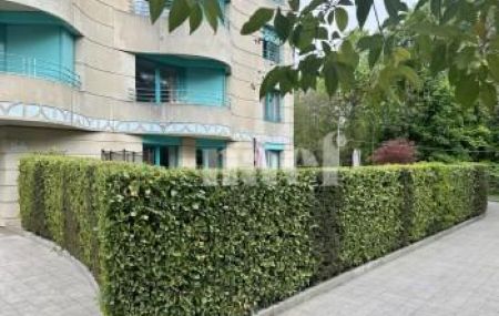 Appartement 6 pièces - Plateau de Frontenex 5a Genève