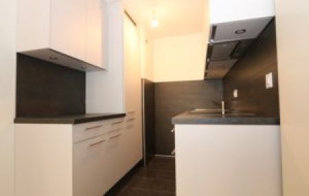 Appartement de 2 pièces aux Pâquis