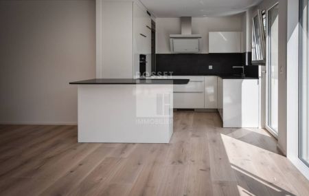 Jolie villa mitoyenne à louer à Plan-les-Ouates.Beautiful detached villa for rent in Plan-les-Ouates.