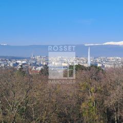 Attique de 8 pièces en pignon avec terrasse périphérique et vue dégagée sur ville et lac
