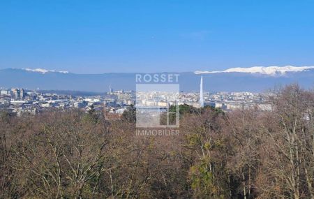 Attique de 8 pièces en pignon avec terrasse périphérique et vue dégagée sur ville et lac