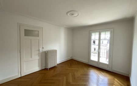 Quartier de Plainpalais, appartement de 1,5 pièce au dernier étage