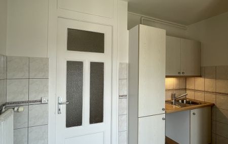 Quartier de Plainpalais, appartement de 1,5 pièce au dernier étage