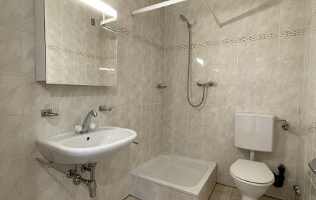 Quartier de Plainpalais, appartement de 1,5 pièce au dernier étage