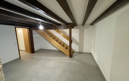 Plan-les-Ouates, proche de toutes commodités, appartement duplex – rez/1er étage,…