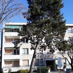 Bel appartement de 3 pièces au 3ème étage avec un balcon