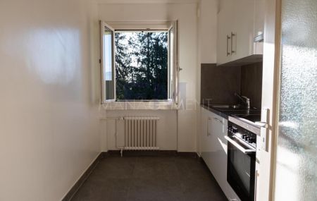 Meyrin Village – Rue Virginio-Malnati - Appartement rénové – 3 pièces – env. 42m² avec balcon