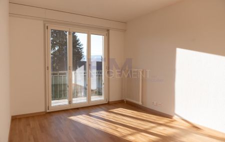 Meyrin Village – Rue Virginio-Malnati - Appartement rénové – 3 pièces – env. 42m² avec balcon