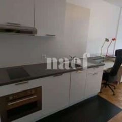 Appartement 1 pièce - Rue Giovanni-Gambini 8 Genève