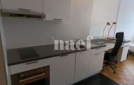 Appartement 1 pièce - Rue Giovanni-Gambini 8 Genève