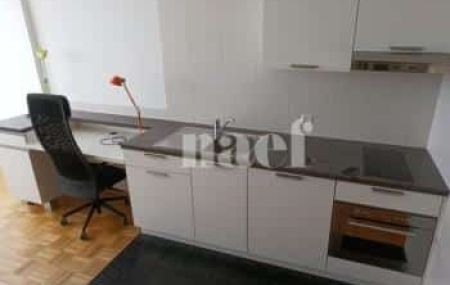 Appartement 1 pièce - Rue Giovanni-Gambini 8 Genève
