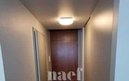 Appartement 1 pièce - Rue Giovanni-Gambini 8 Genève