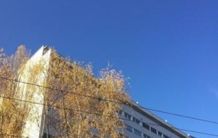 Appartement 4.5 pièces - Rue de Moillebeau 55 Genève