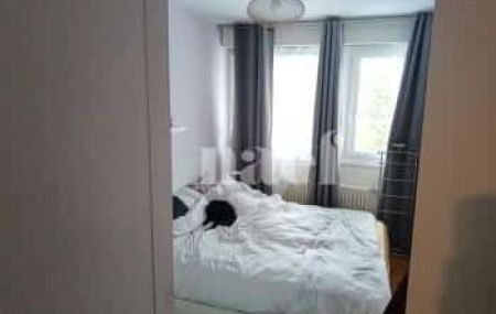 Appartement 4.5 pièces - Rue de Moillebeau 55 Genève