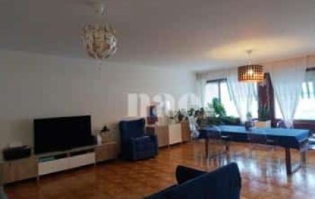Appartement 6 pièces - Avenue Eugène-Pittard 7 Genève