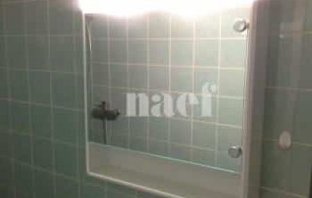 Appartement 1 pièce - Route de Florissant 89 B Genève