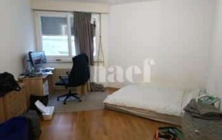 Appartement 1 pièce - Rue de Lyon 10 Genève