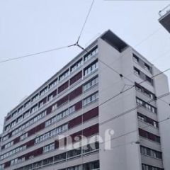 Appartement 1.5 pièce - Rue de Lausanne 42 Genève
