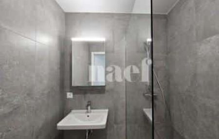 Appartement 4 pièces - Chemin de Pré-Gentil 50 A-B Satigny