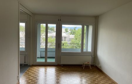 3 pièces lumineux, à la Servette
