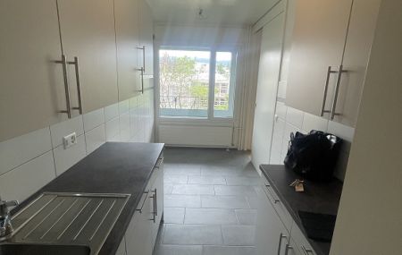 3 pièces lumineux, à la Servette